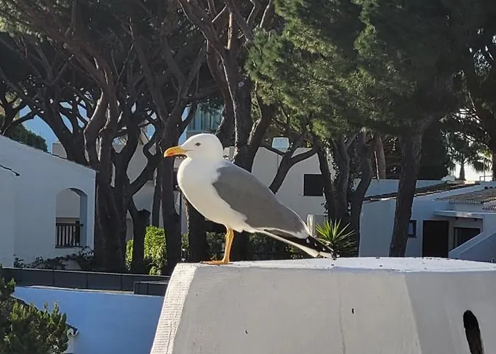 P209 Situé Au Sein De Balaia Golf Village * Albufeira